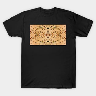 Beach Stones Abstract 13a T-Shirt